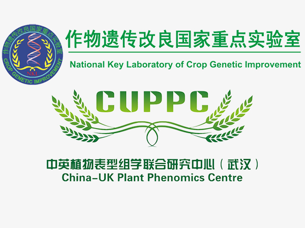 作物遺傳改良國家重點實驗室 華中農(nóng)業(yè)大學作物表型中心