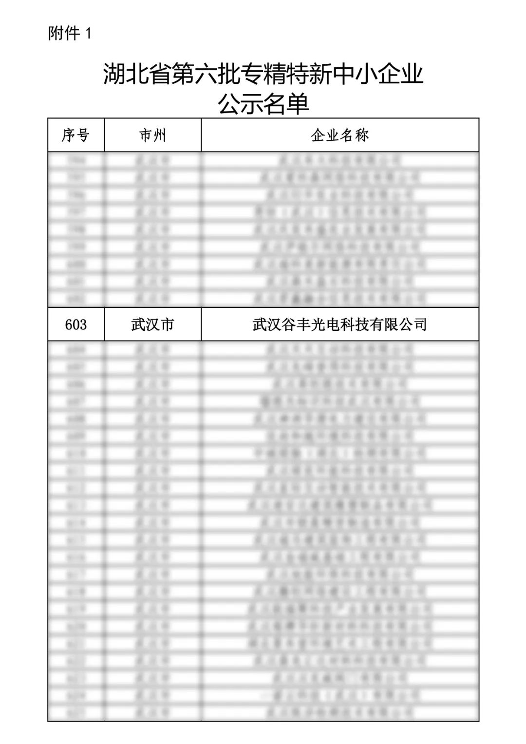 谷豐光電榮獲湖北省第六批專精特新中小企業(yè)認(rèn)定！