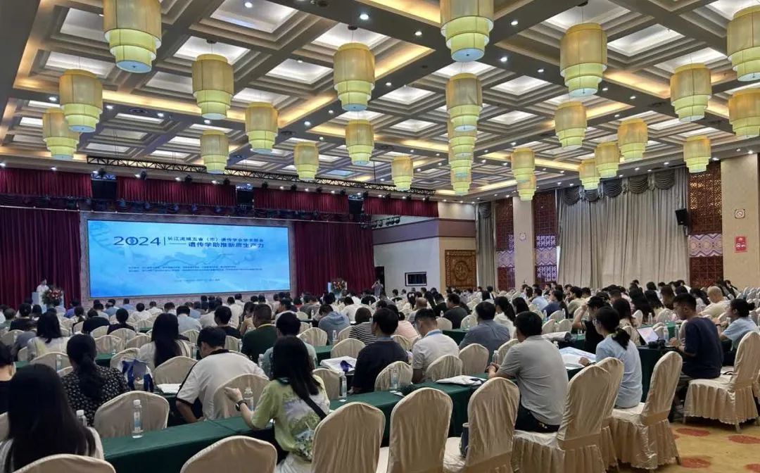 谷豐光電主會場報(bào)告閃耀全場